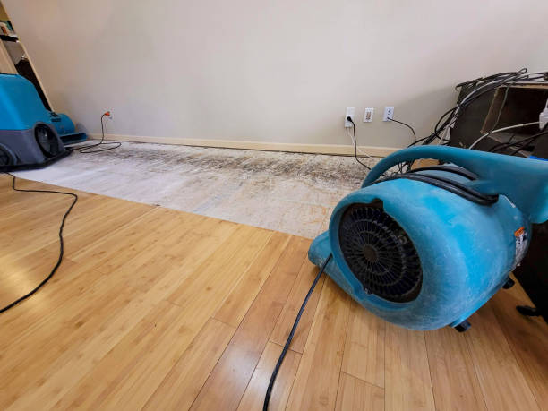 Professional Water Damage Repair technician working in West Pittsburg, PA